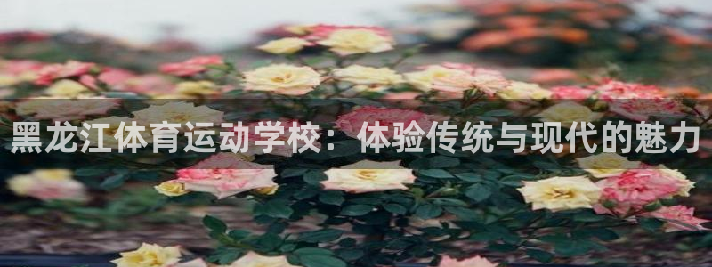 必威betway西汉姆联：黑龙江体育运动学校：体验传统与现代的魅力