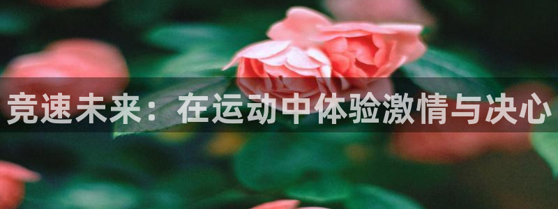 betway西汉姆官网：竞速未来：在运动中体验激情与决心