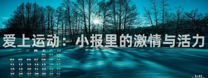betway西汉姆联官网：爱上运动：小报里的激情与活力
