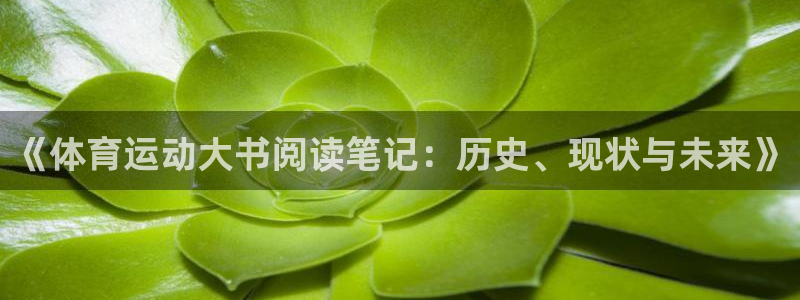 betway西汉姆：《体育运动大书阅读笔记：历史、现状与未来》